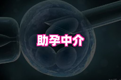 天津助孕网站 2