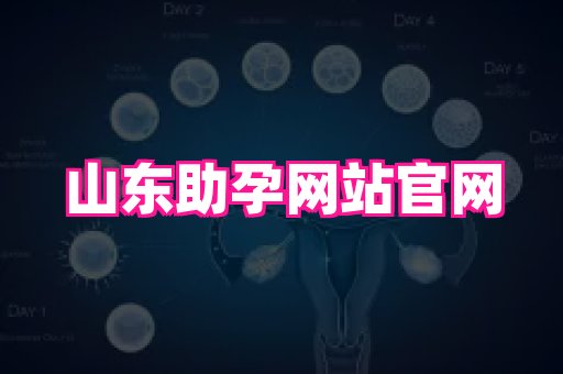 天津助孕网站 4